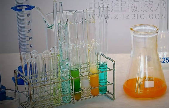 淺談培養基保存放置需注意四個(gè)方面？
